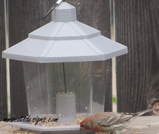 small birdfeeder with bird.
