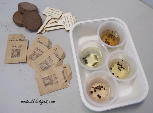 Bonsai,earthday, Nature,Garden,Plants, Blogger,